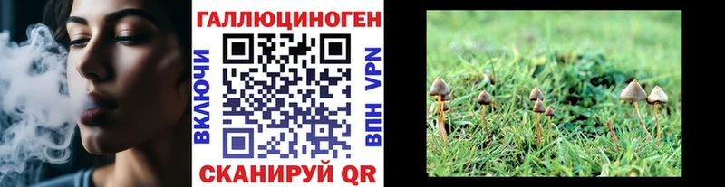 Галлюциногенные грибы мухоморы  где продают   Артёмовский 